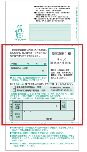 写真：マイナンバーカード申請書見本（裏）