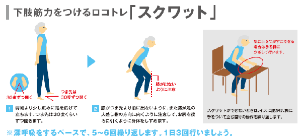 イラスト:スクワット 深呼吸をするペースで5~6回繰り返します。1日3回行いましょう。