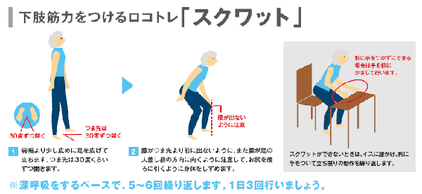 イラスト：スクワット　深呼吸をするペースで5～6回繰り返します。1日3回行いましょう。