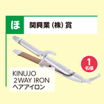 KINUJO2WAY IRON ヘアアイロン