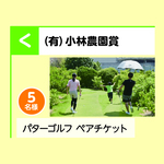 パターゴルフ　ペアチケット