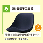 姿勢を整える骨盤サポートシート