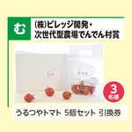 うるつやトマト　5個セット　引換券