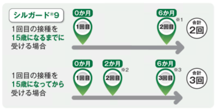 標準的なスケジュール