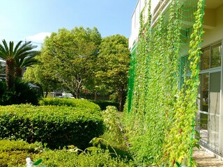 r6北部市民センター小学校