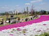 スポーツ・公園