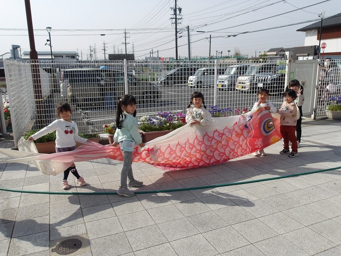 koinobori5