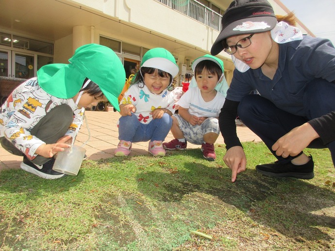 写真:虫を探す子どもたちと保育者