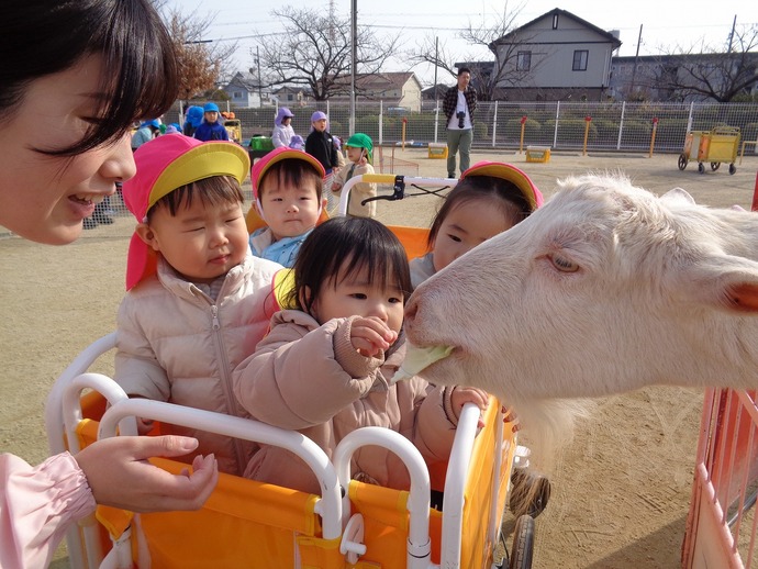写真：移動動物園の様子