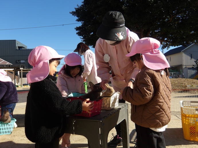 写真：移動動物園の様子