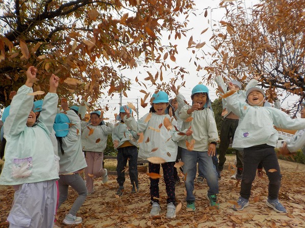 5歳遊び　落ち葉がまっている写真