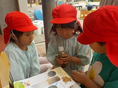 写真　虫を観察している様子