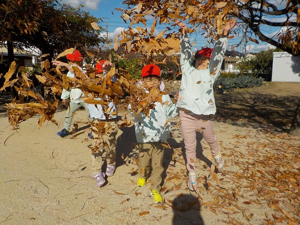 4歳おちば遊び