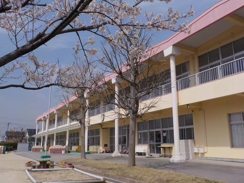 写真：井ケ谷幼児園