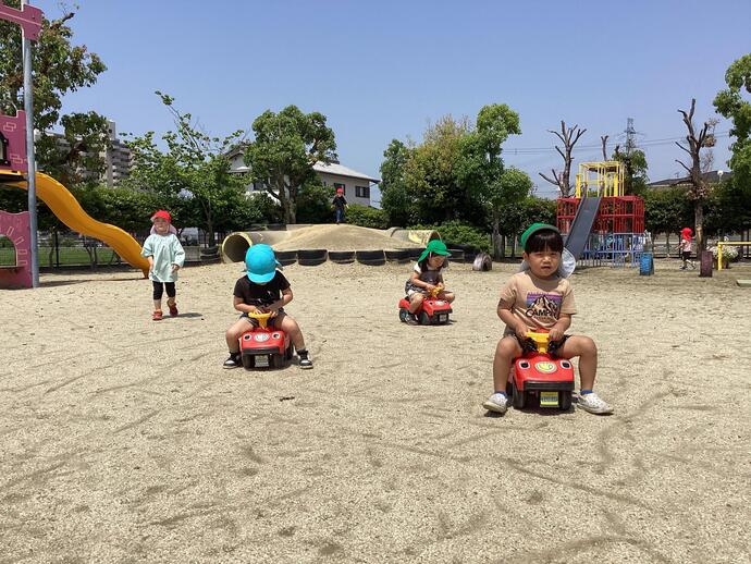 写真:年少児 フウセンカズラの種をとる様子