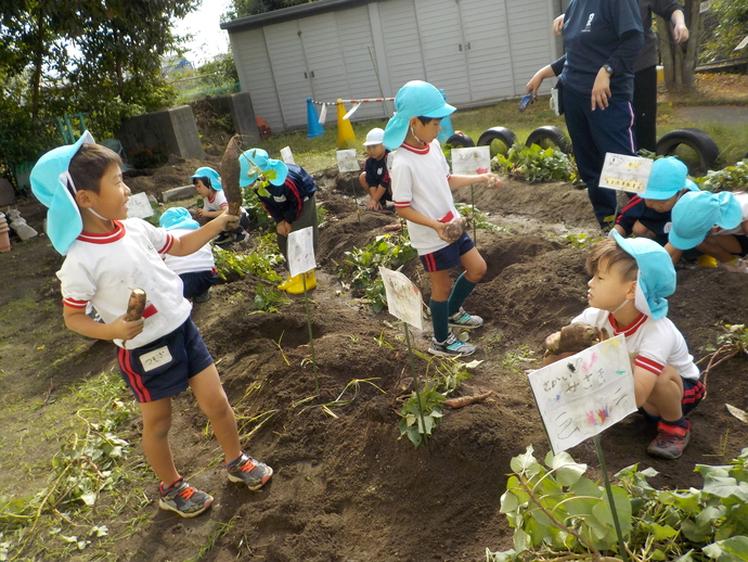 写真:街作りの様子