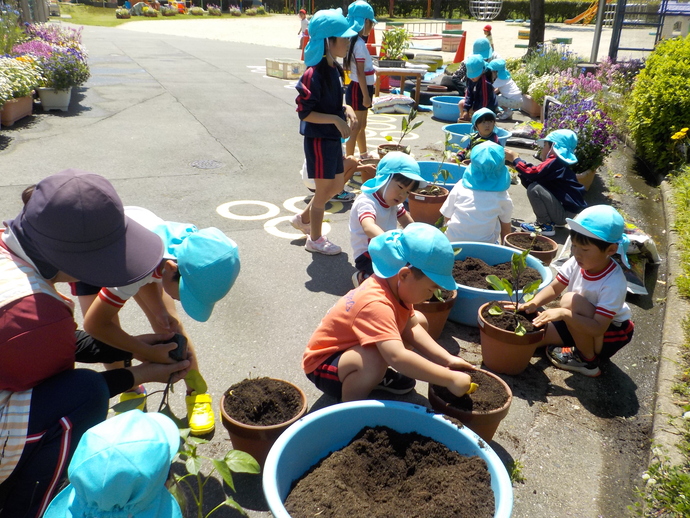 写真:砂場遊びの様子