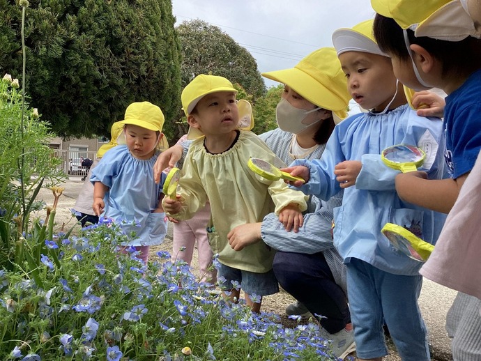 写真：3歳児　虫探し