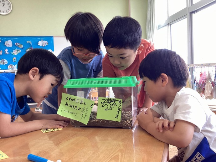 写真：年長児　虫観察