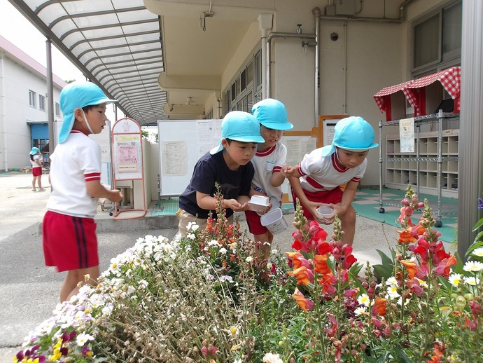 写真：年長児　虫探しの様子