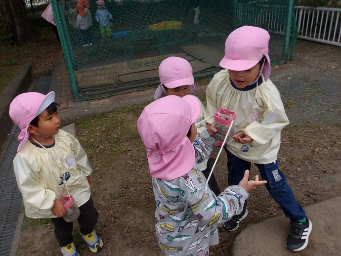 写真:年少児 遠足の様子