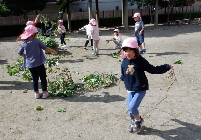 写真:年長児 芋づる