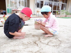 水遊びの様子