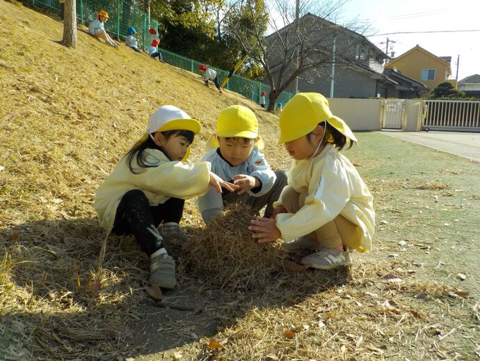 写真：年少児　水遊びの様子