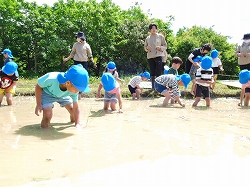 写真：田植え