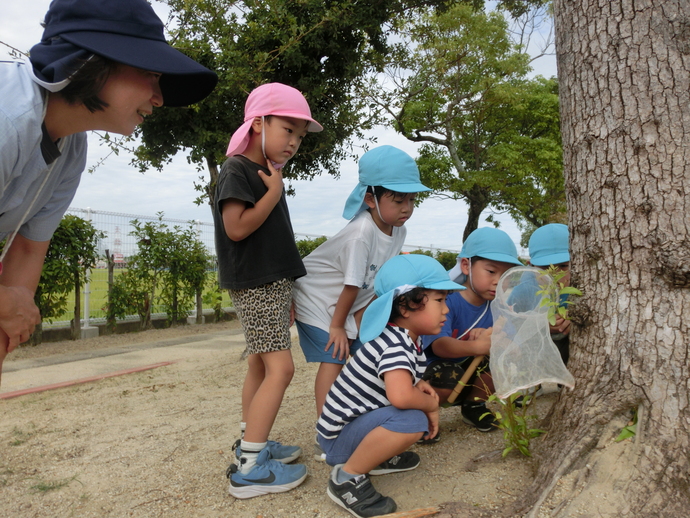 虫探しの写真