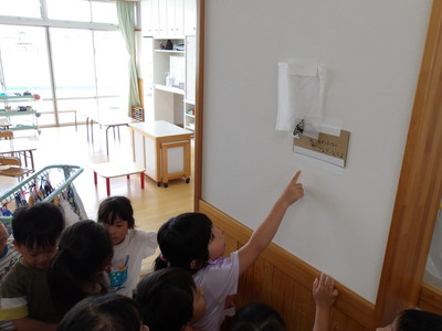 写真:年長児 クラス対抗ドッジボール大会の様子