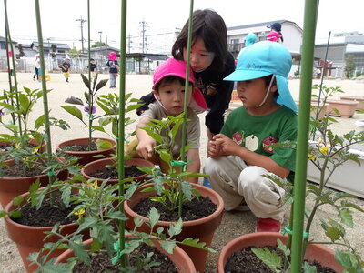 写真:年長児 交通安全教室の様子