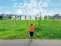 ここがわたしの新しいSKY アン葡萄園です！