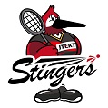 ジェイテクトStingers　ロゴ