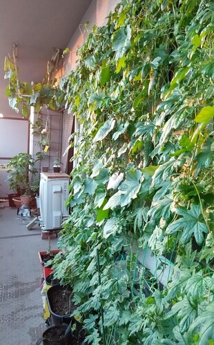 写真：アパマン賞1