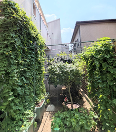 写真:努力賞2