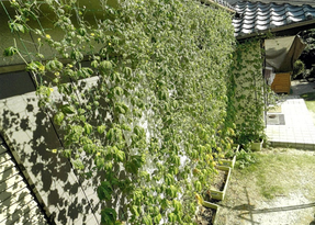 写真:努力賞5