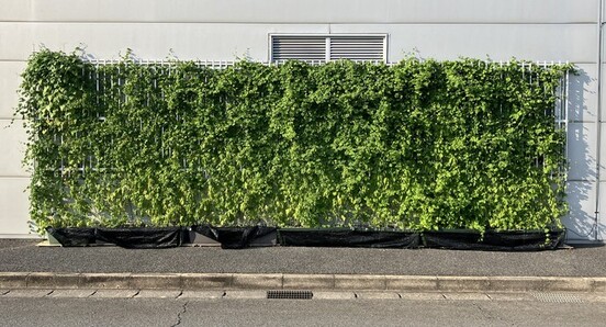 事業所部門優秀賞の写真