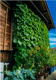 写真：最優秀賞1