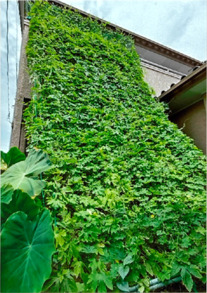 家庭部門優秀賞の写真