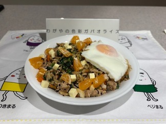 わが家の色彩ガパオライス