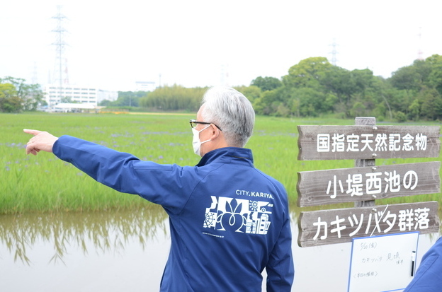 視察する市長