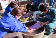 写真：たらいと洗濯板で洗濯をする