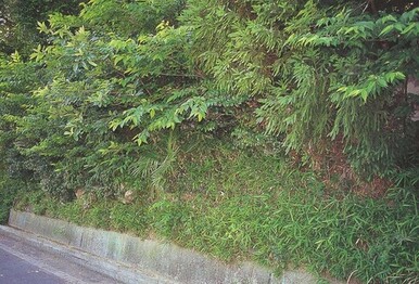 八王子神社貝塚