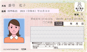 国外転出者向けカード