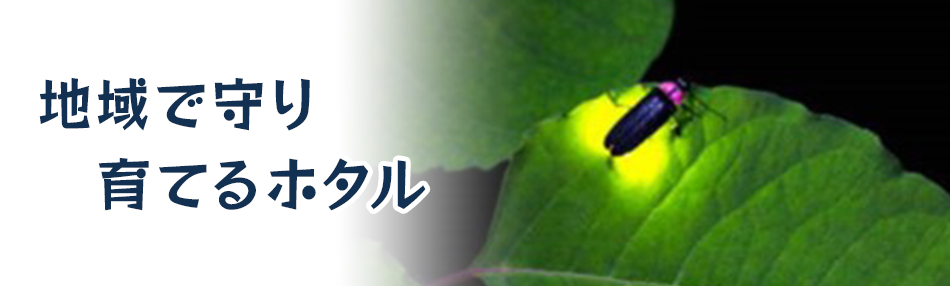 地域で守り育てるホタル