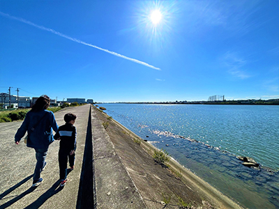 衣浦湾の海岸線の写真