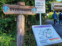 遊歩道の写真