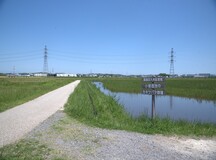 田園風景の写真
