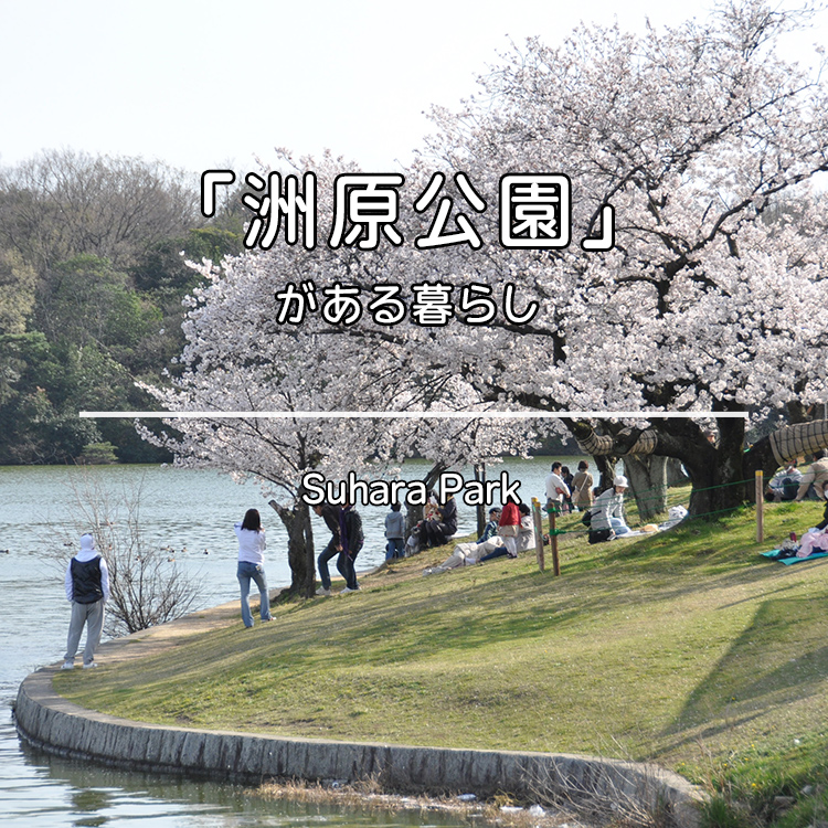 洲原公園の写真